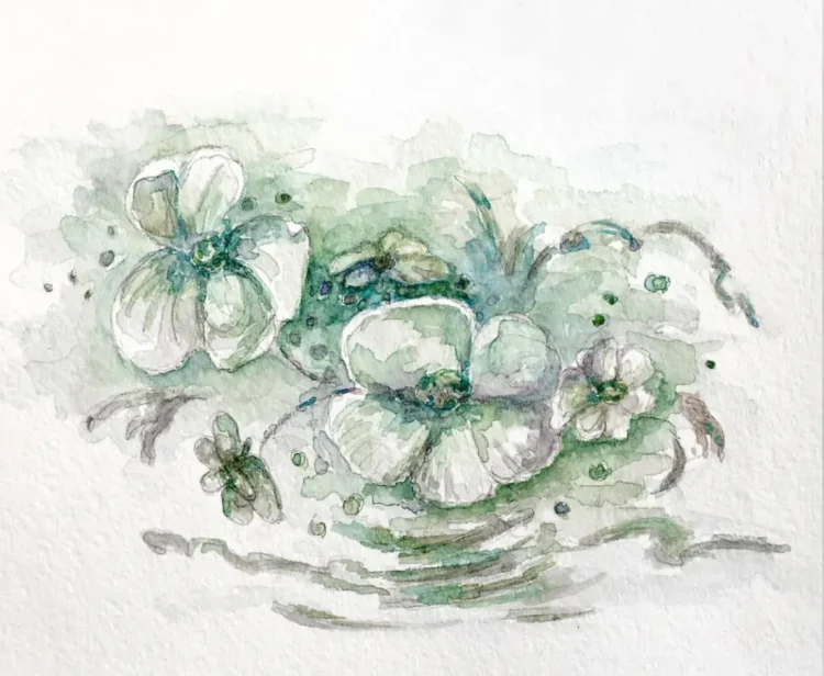Emerald Anemones — Delicate Watercolor Botanical Art Print